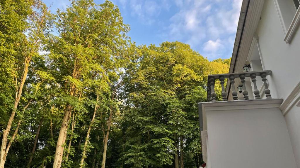 Zahrada ubytování Villa ANSER