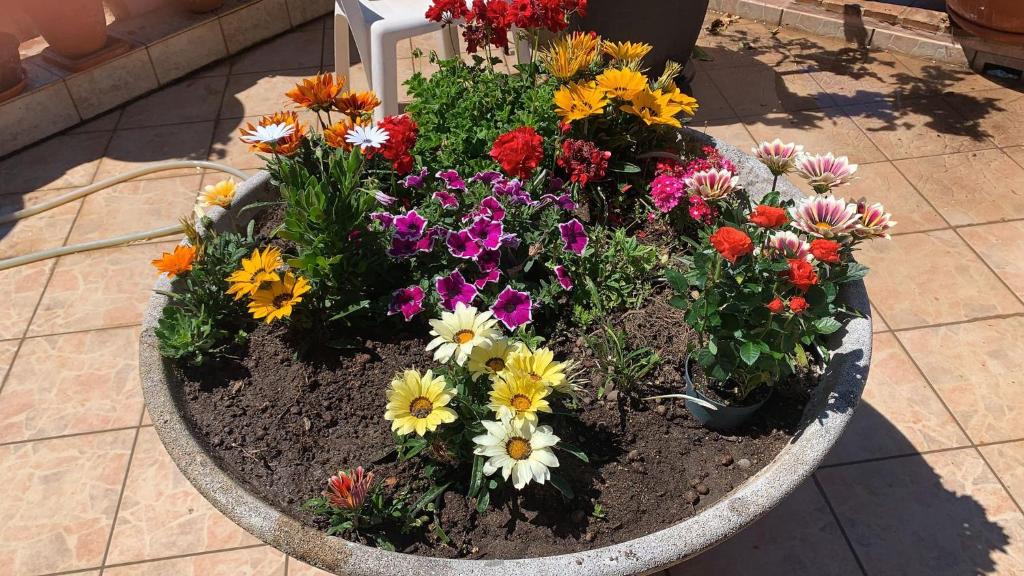 Villa Annina B&B - 14