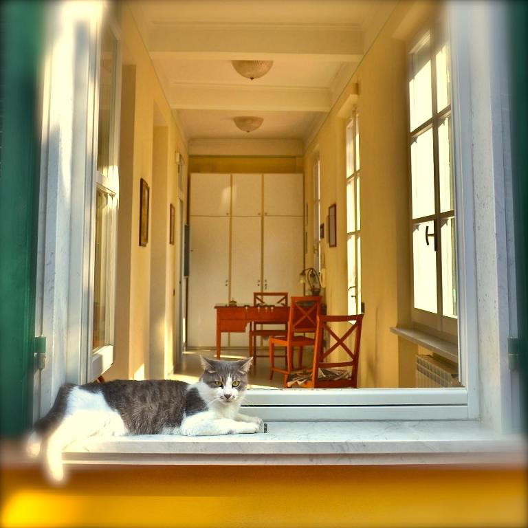 Fotografie z fotogalerie ubytování Hotel Villa Fiorisella v destinaci Marina di Massa