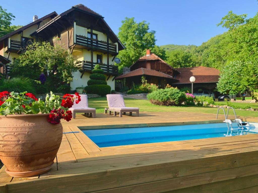 um quintal com uma piscina e uma casa em Vila Djordjevic - Priroda vas okruzuje em Brus