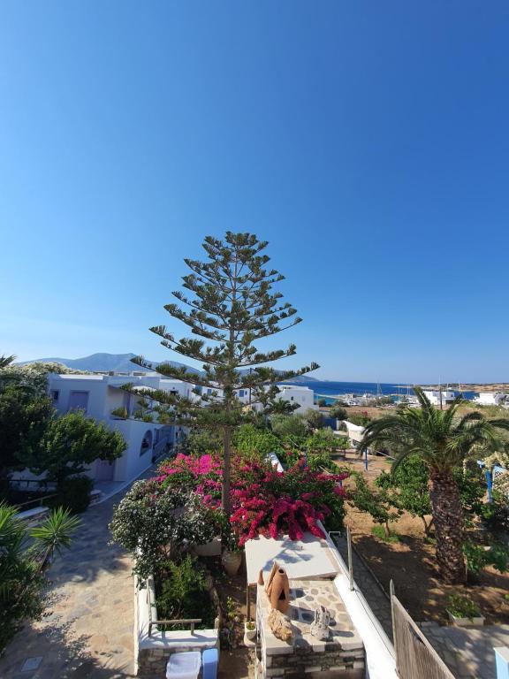 a tree on the balcony of a building at Ermis Koufonissi in Koufonisia