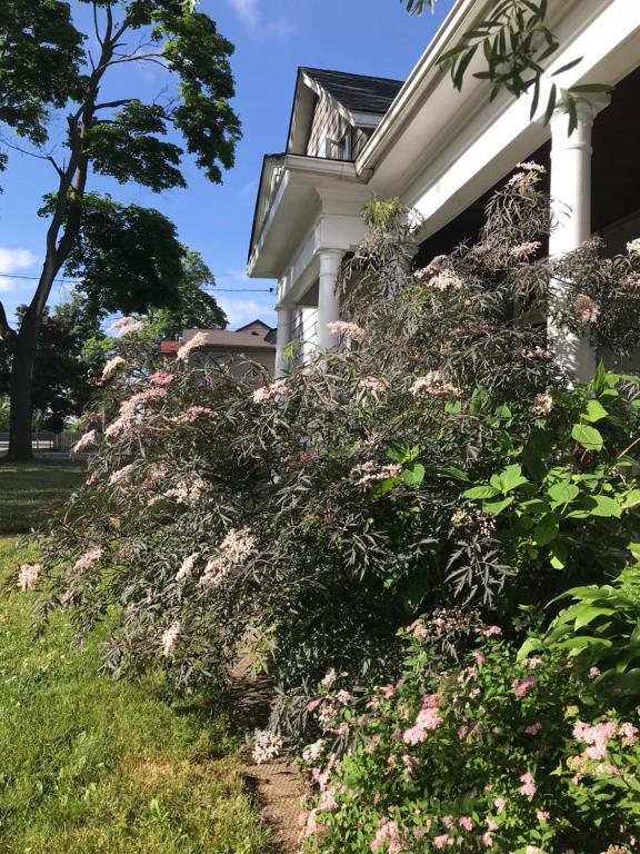 ein Haus mit rosa Blumen auf der Seite in der Unterkunft Niagara Vacation Homes Canada in Niagara Falls