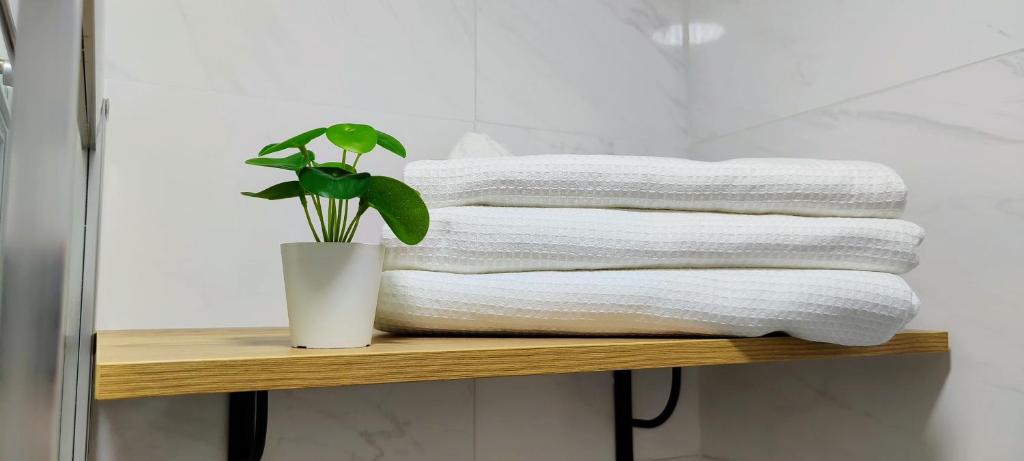 Stylish and Elegant Studio - Best View and Location in Coimbra Downton - 18