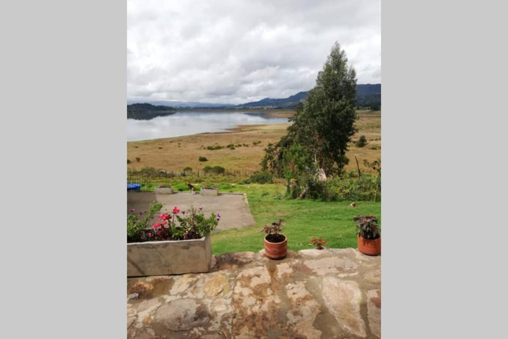 a view of a lake from a hill with potted plants at El Cascajal: Amazing lake view. Vista al lago in Guatavita