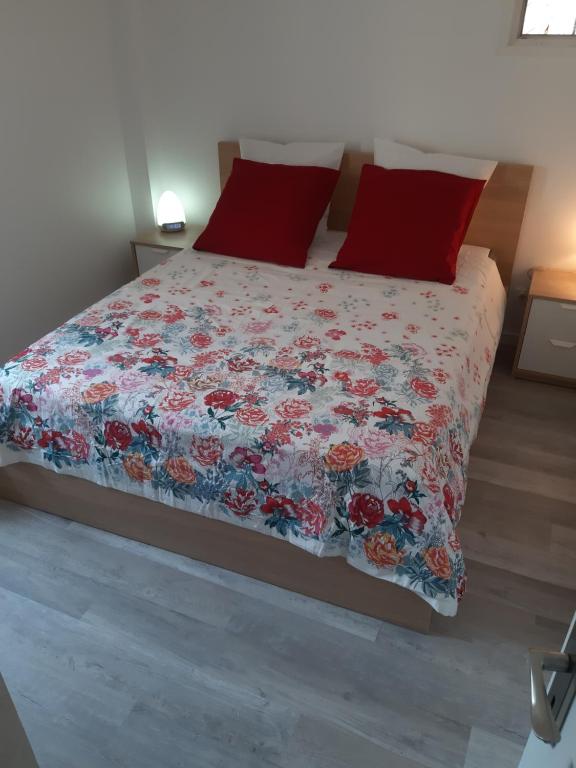 a bedroom with a bed with a floral bedspread and red pillows at Appartement Grabels 2 à 4 personnes in Grabels