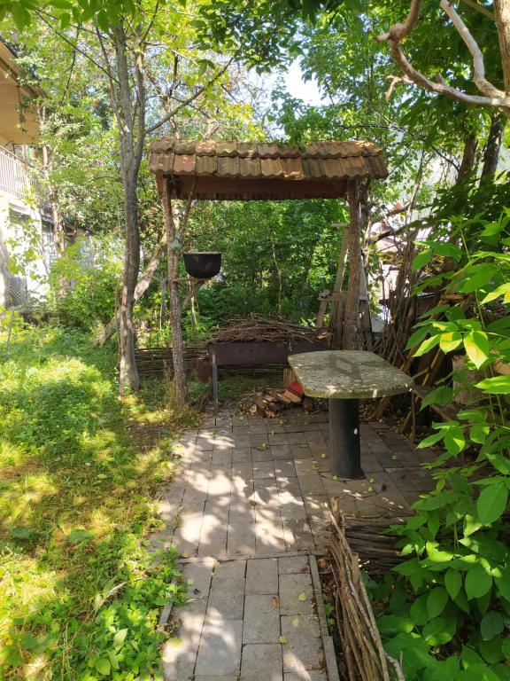 Zahrada ubytování Guest House Shvelidze