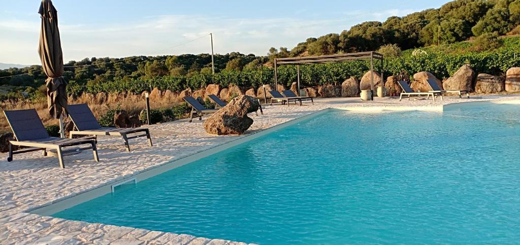 una piscina con sillas y sombrillas junto a en Agriturismo Muristene en Dorgali