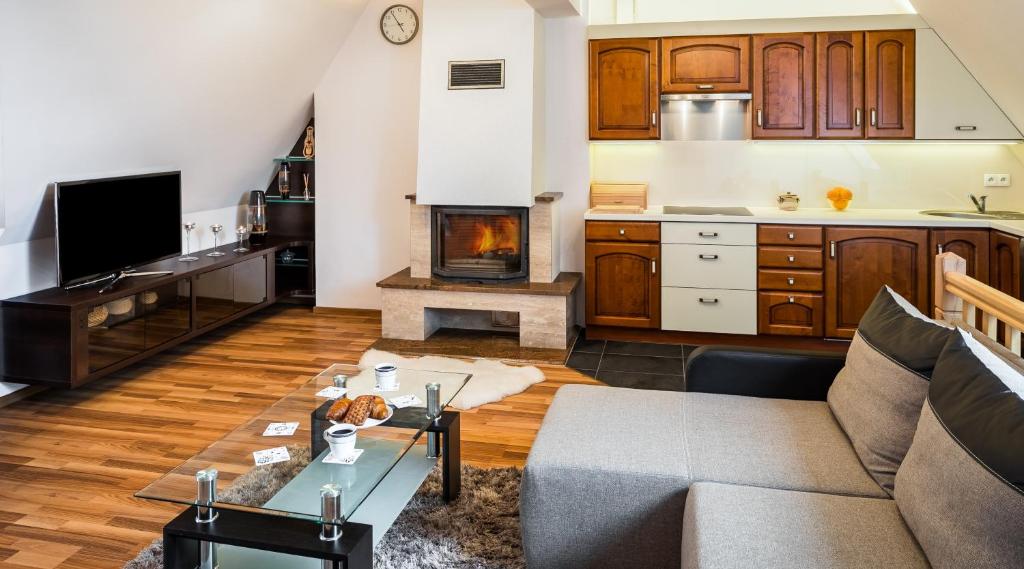 uma sala de estar com um sofá e uma lareira em Apartament Zakopiański Relax em Zakopane