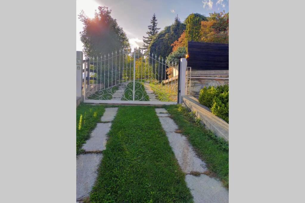 Zahrada ubytování La Sarrolein CIR 0009