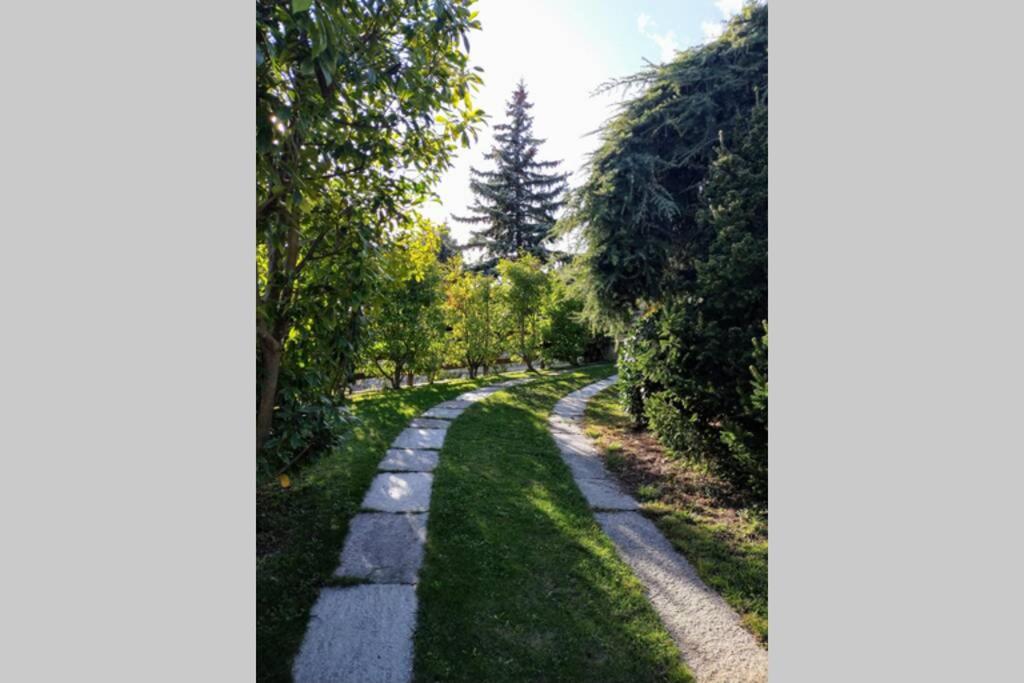Zahrada ubytování La Sarrolein CIR 0009