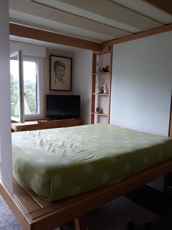 a bedroom with a large bed and a television at La source in Bagnoles de l'Orne