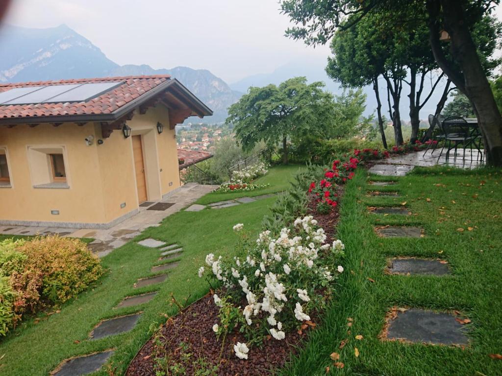 A garden outside Villa Primula