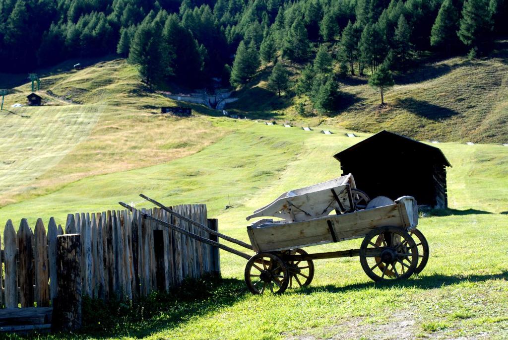Príroda v okolí hotela