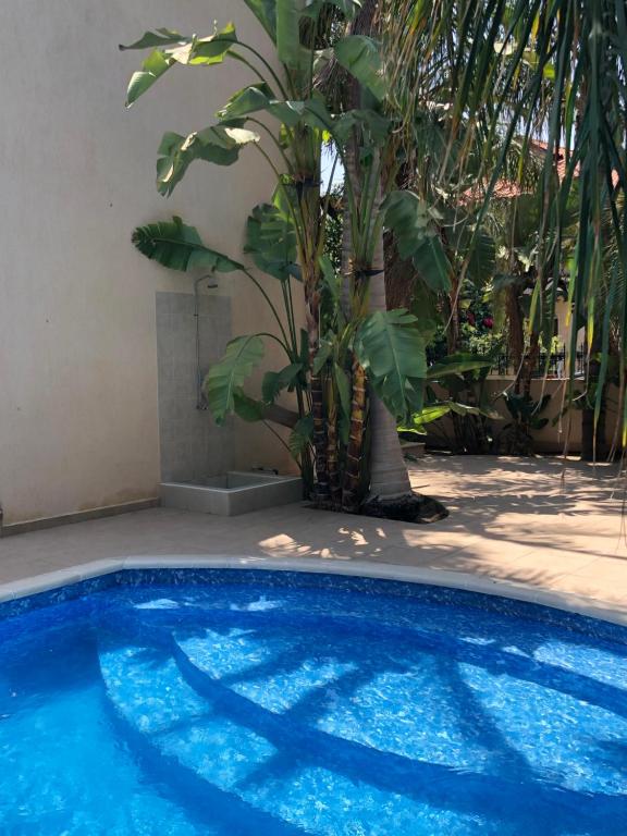 Bazén v ubytování VillaHoliday nebo v jeho okolí