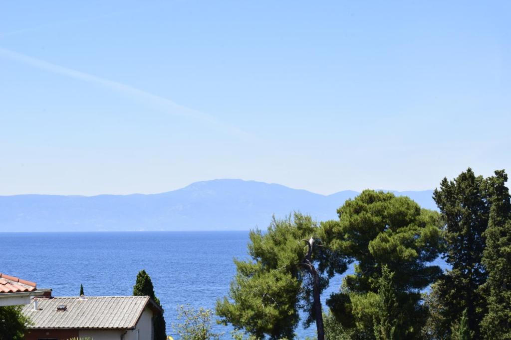 Naturlandskabet i nærheden af lejligheden