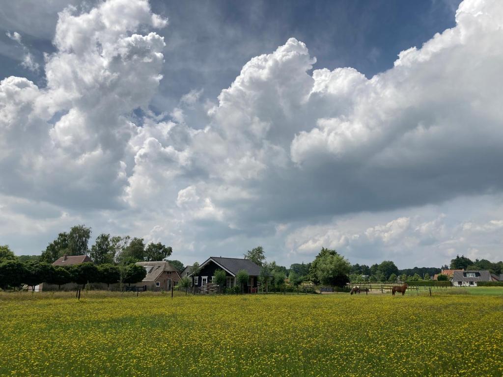 un campo de flores amarillas frente a un cielo nublado en Buitenhuisje B&B De Veldweg en Heerde