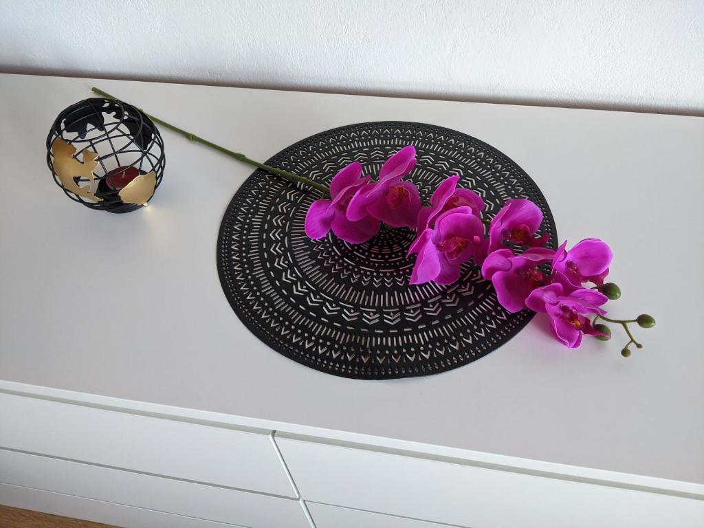 Fotografie z fotogalerie ubytování Apartment Fugosic v destinaci Šilo