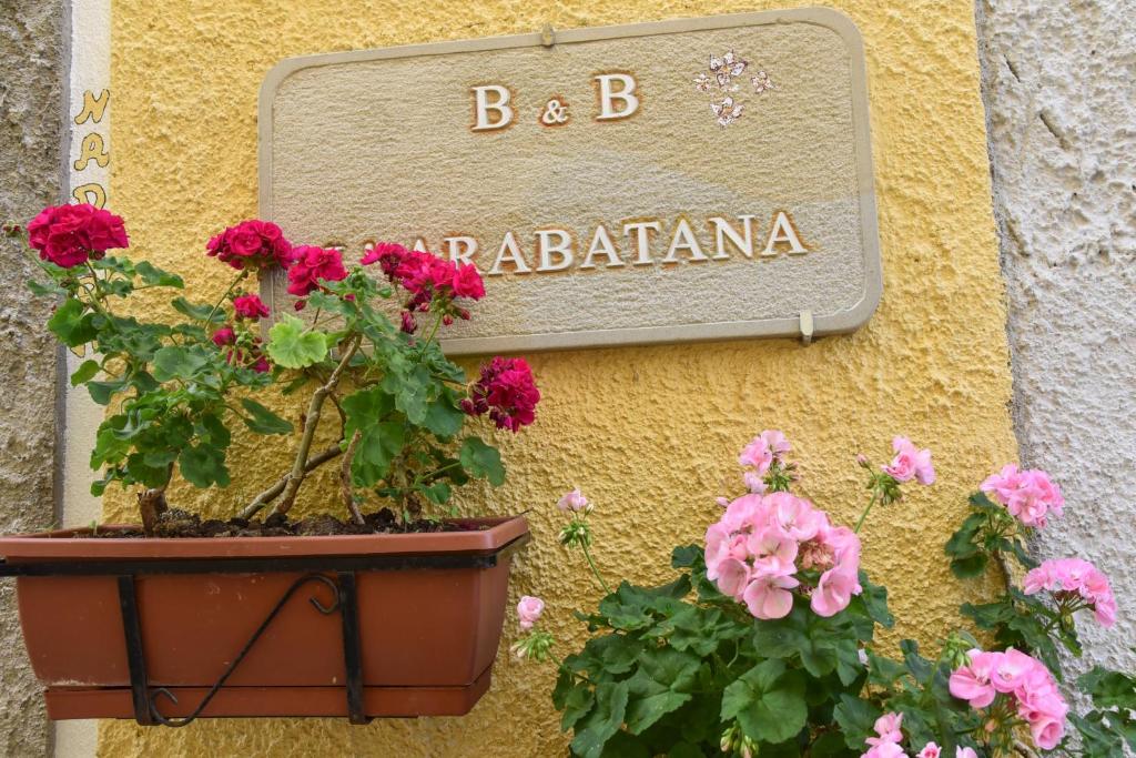 a sign on the side of a building with flowers at B&B L'Arabatana in Pietrapertosa