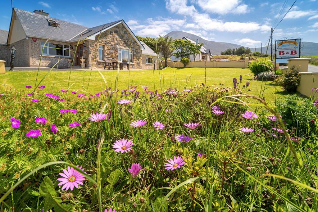 a field of flowers in front of a house at Bertra House B&B in Westport