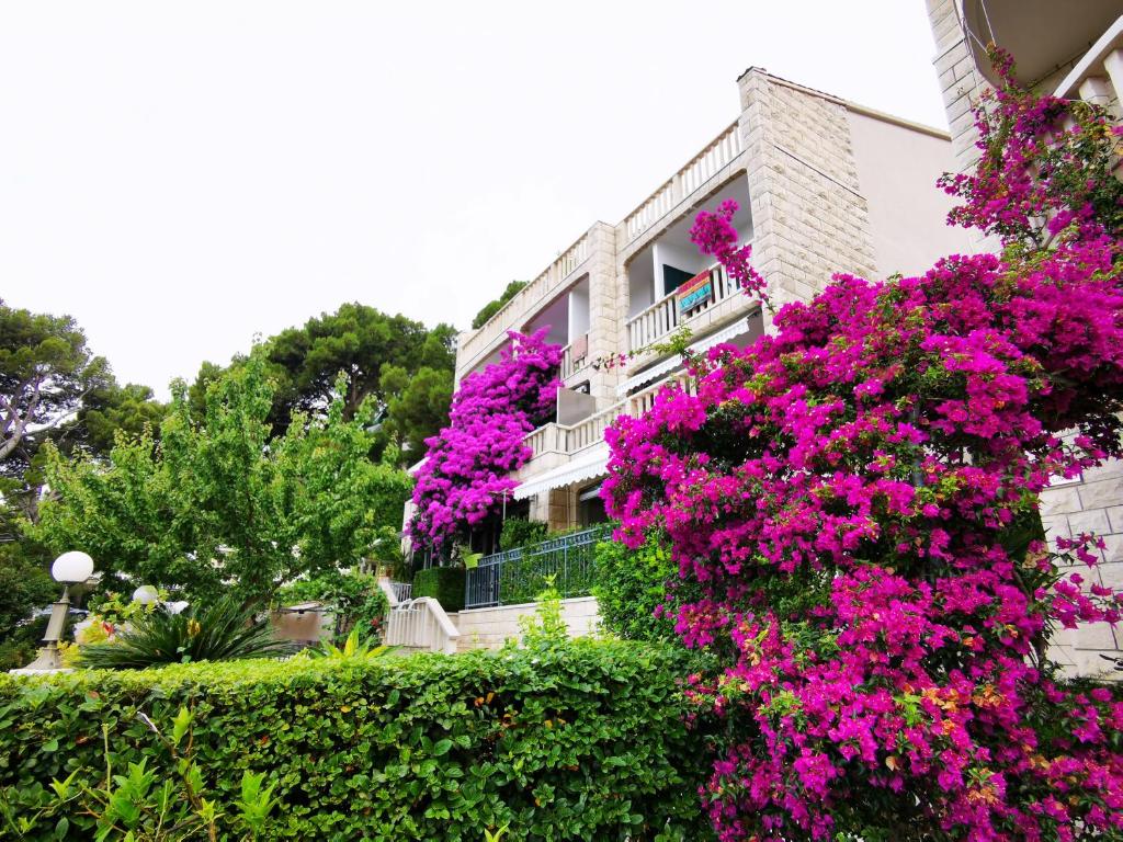 Vonkajšia záhrada v ubytovaní Villa Bose- Apartmani Luka Šodan