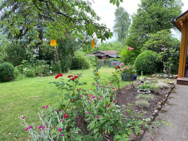 a garden with flowers in a yard at Ferienwohnung Wegener in Neetze
