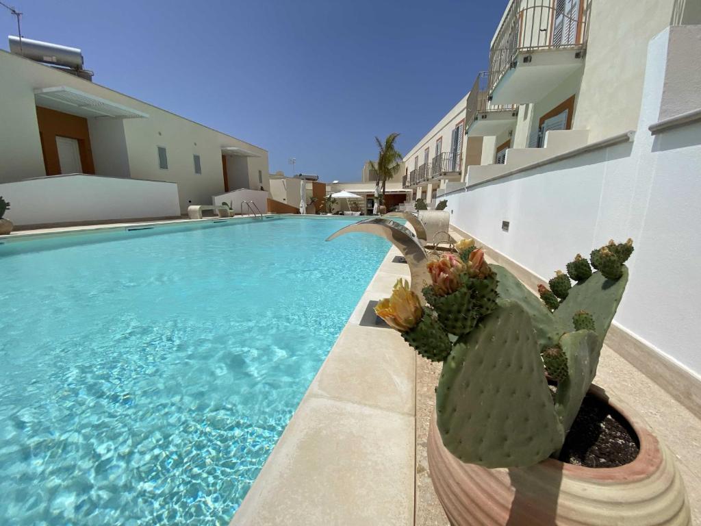 un cactus in una pentola accanto alla piscina di Hotel Sole a Lampedusa