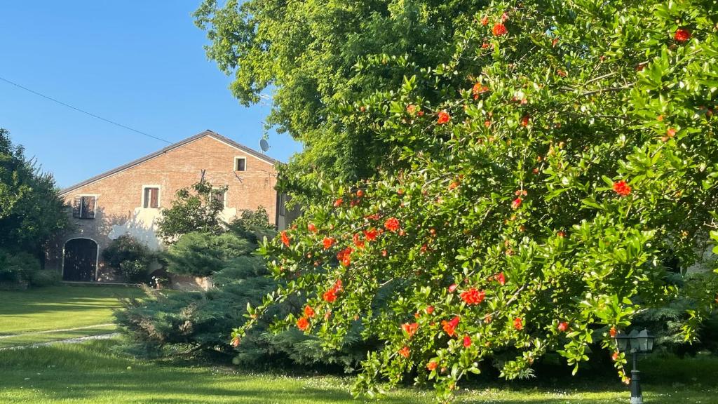 Zahrada ubytování Villa Camilla