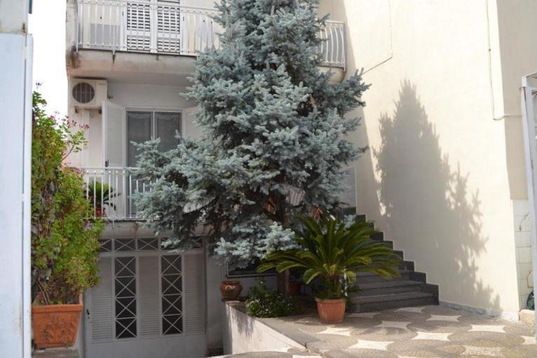 un arbre devant un bâtiment blanc avec des plantes dans l'établissement My Angels B&B, à Pompéi