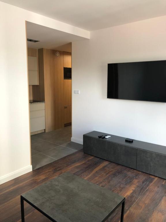 Televízia a/alebo spoločenská miestnosť v ubytovaní Apartamenty Platinex 3