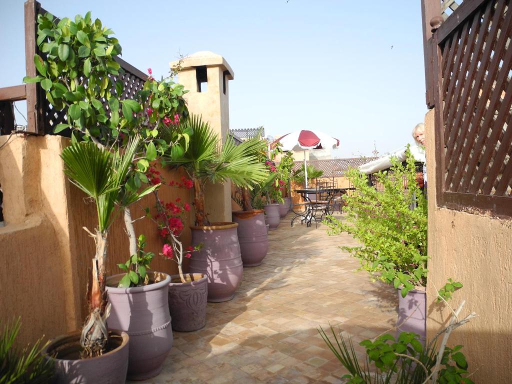 Zahrada ubytování Riad Linda