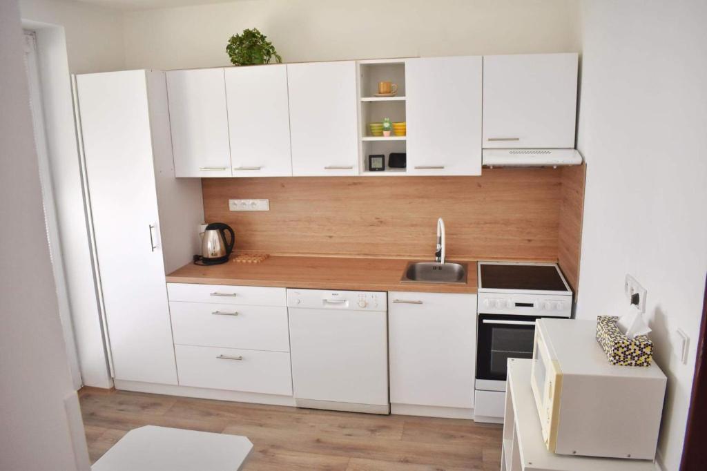 Kuchyň nebo kuchyňský kout v ubytování Ubytování v Šumavském podhůří