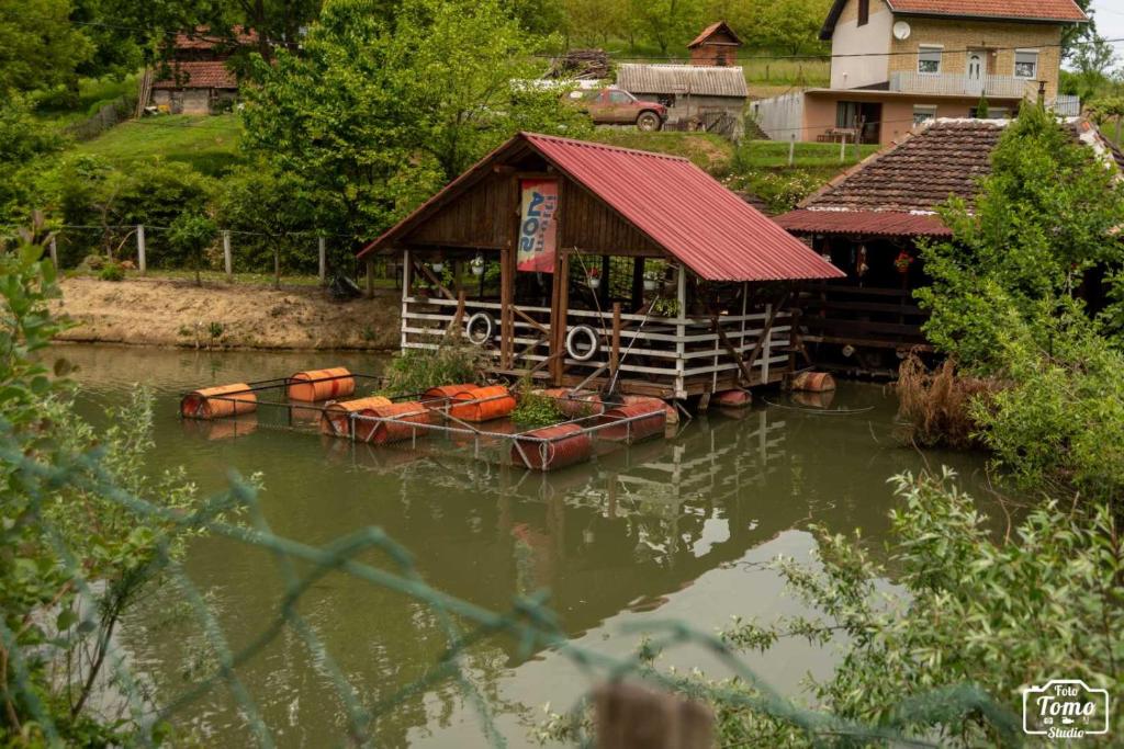 Příroda nedaleko kempu