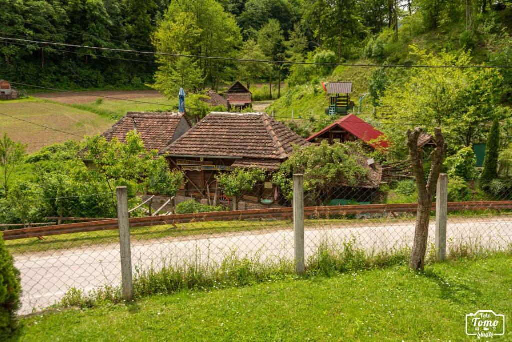 Zahrada ubytování Mikin vajat i ribnjak Korenita, Loznica