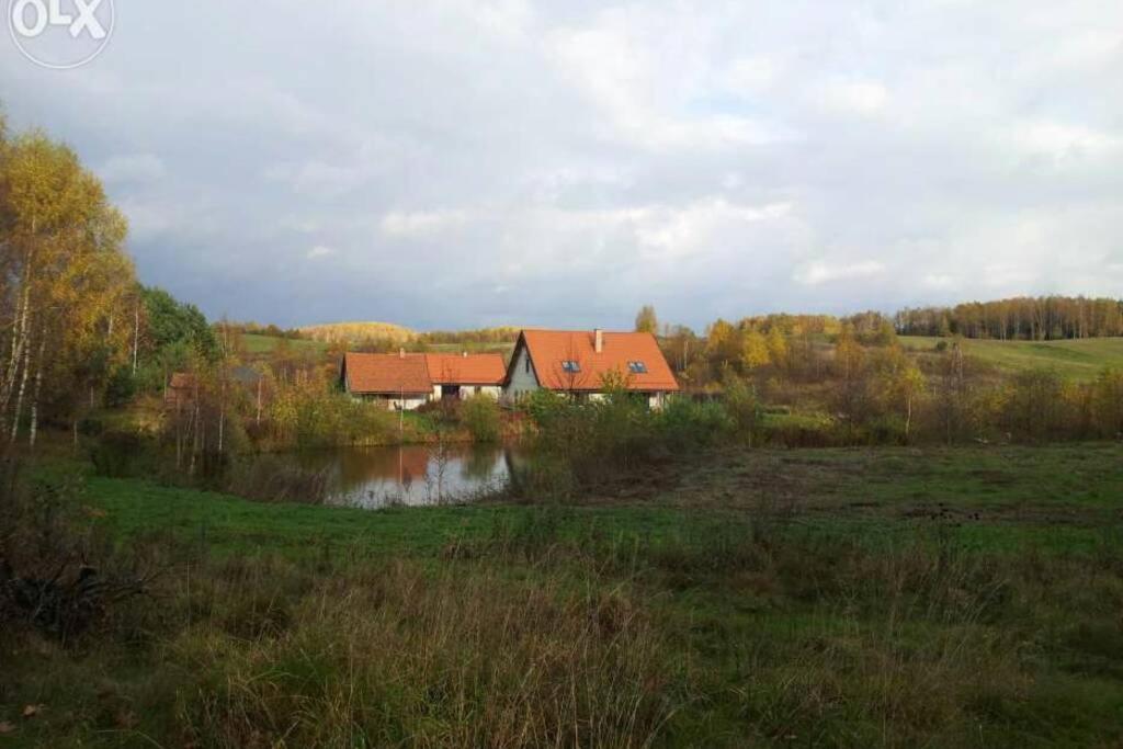 a house in the middle of a field next to a pond at Domek na kolonii Brąswałdu in Dywity