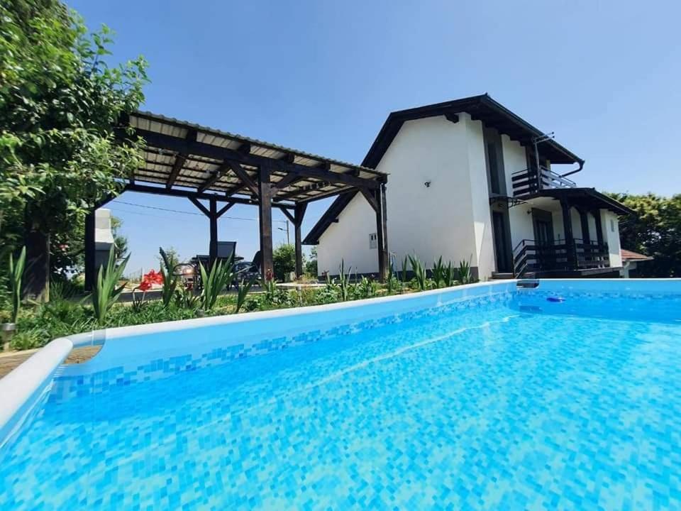 a villa with a swimming pool and a house at Holiday Home Nirvana in Gornji Mihaljevec