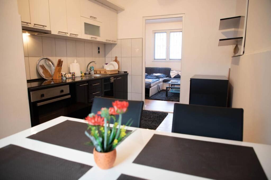A kitchen or kitchenette at Apartment Đozić