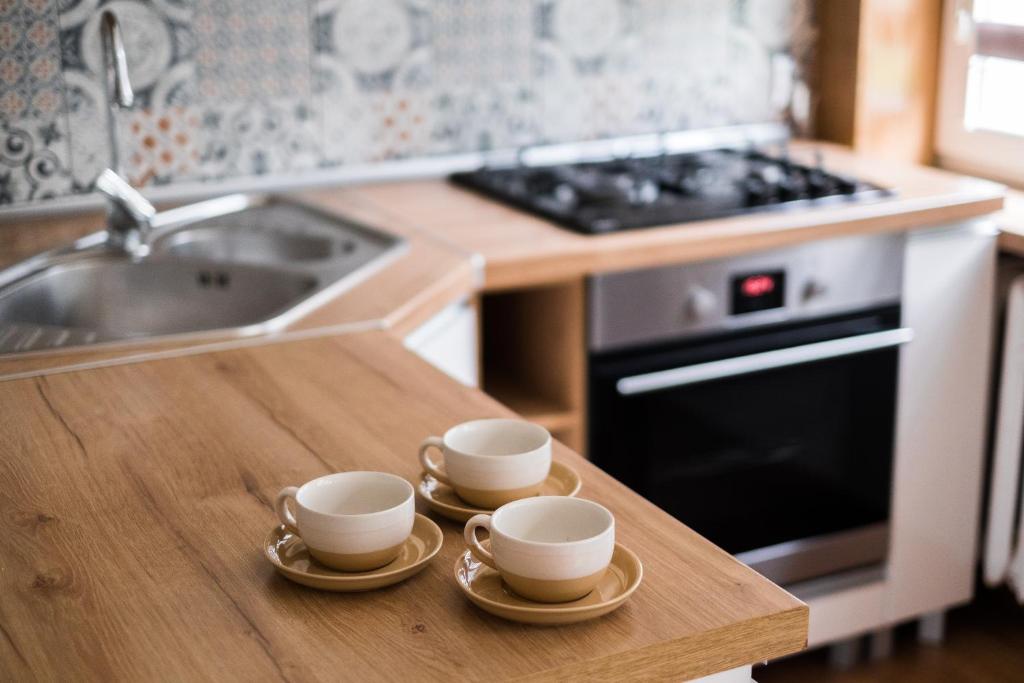 Kuchyňa alebo kuchynka v ubytovaní Apartament Paderewskiego 20A