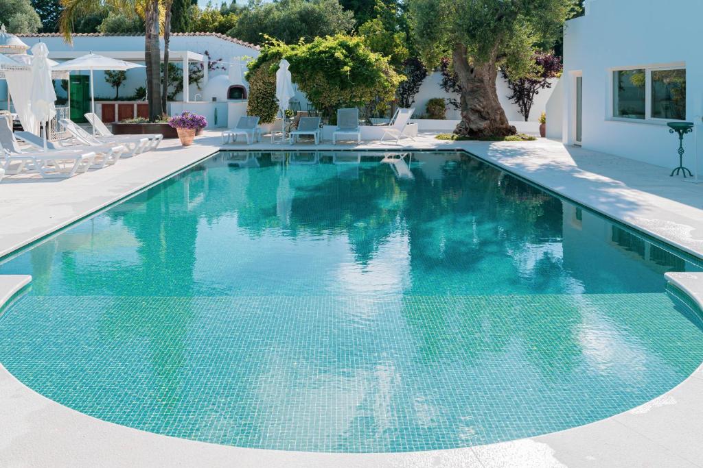 B&B Antico Ulivo - 19