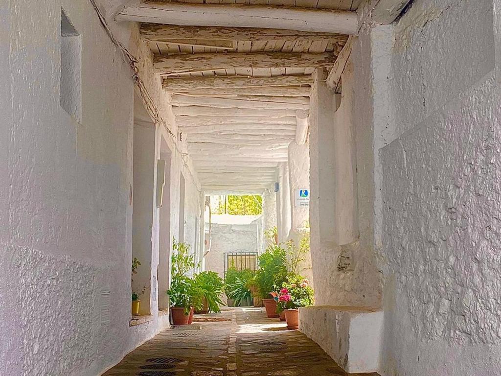 einen leeren Flur mit Topfpflanzen in einem Gebäude in der Unterkunft Casa Rural Vata 1 y 2 Pampaneira Alpujarra in Pampaneira