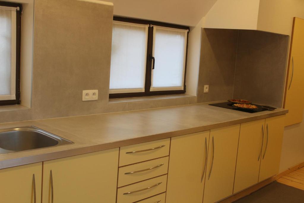 Kuchyň nebo kuchyňský kout v ubytování Saffels Nest 33