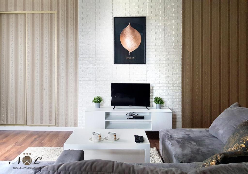 a living room with a couch and a tv at Apartament Peowiaków Gold in Lublin