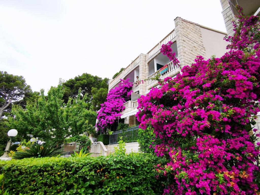 Vonkajšia záhrada v ubytovaní Villa Bose- Apartmani Luka Šodan
