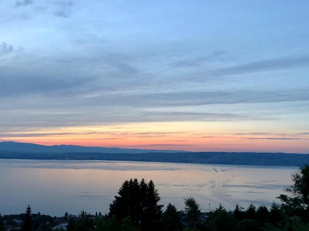 vista di un grande bacino d'acqua al tramonto di Les Vies en Rose a Évian-les-Bains