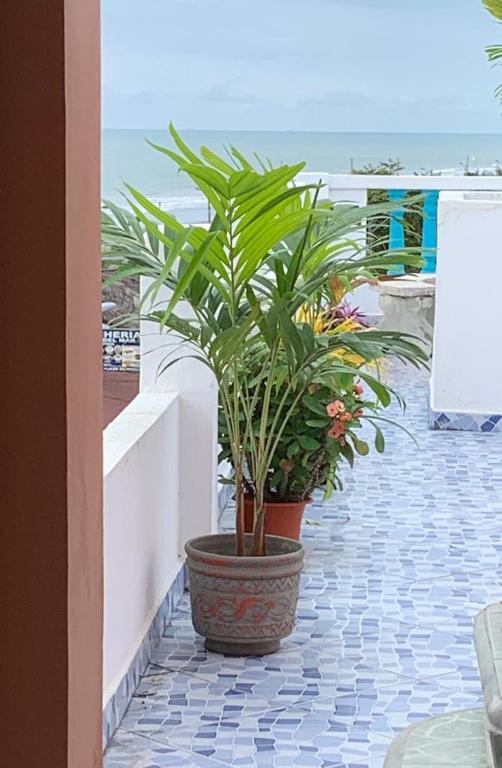 Balkón nebo terasa v ubytování Hotel La Barca