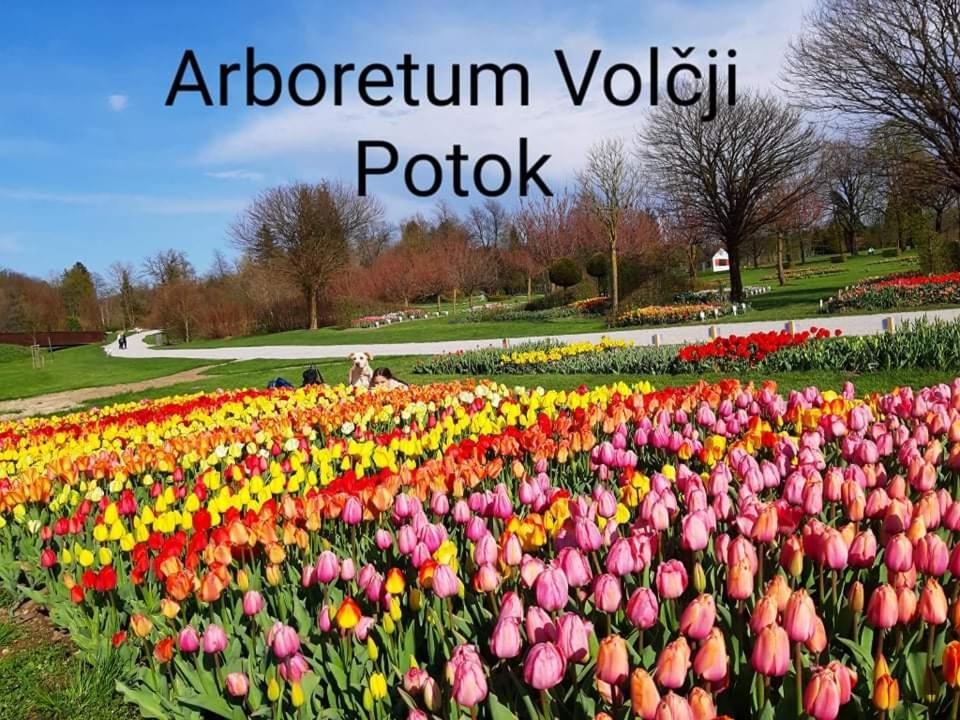 Fotografie z fotogalerie ubytování Lexi Zen House v destinaci Kamnik