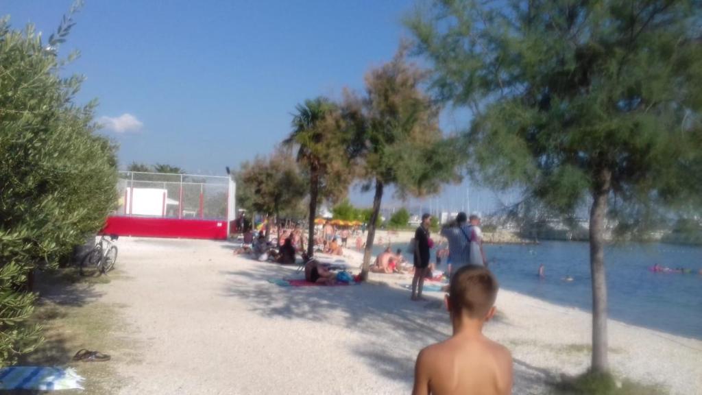 Príroda v okolí apartmánu