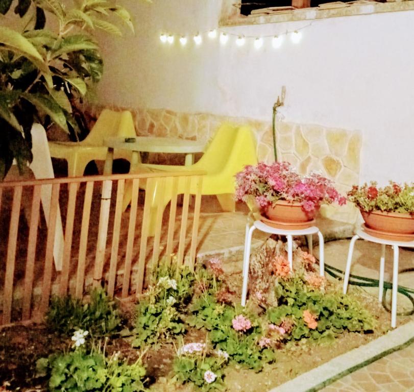 Zahrada ubytování B&B Fenice Barocca