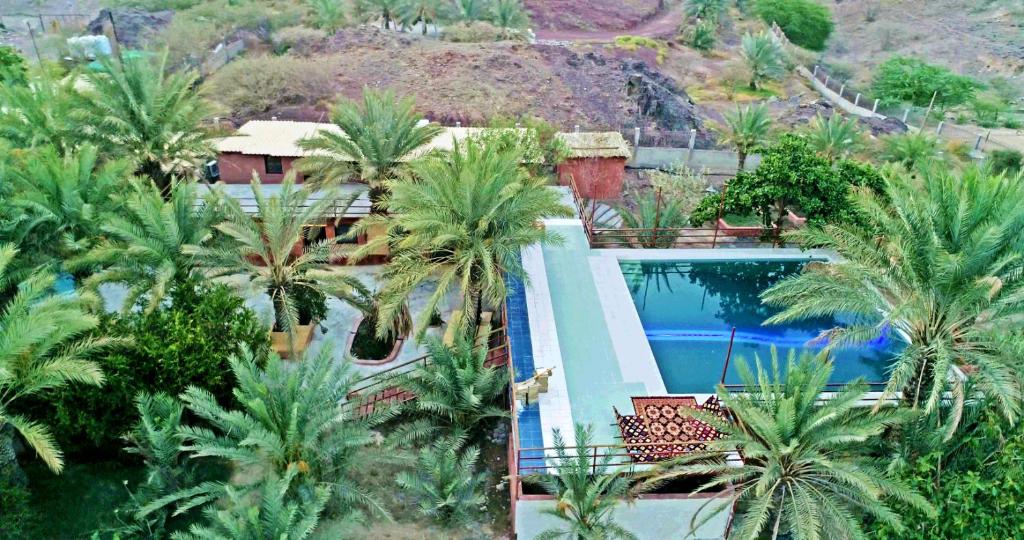 z góry widok na ośrodek z palmami i basenem w obiekcie Hatta Art Hub Farm w mieście Hatta