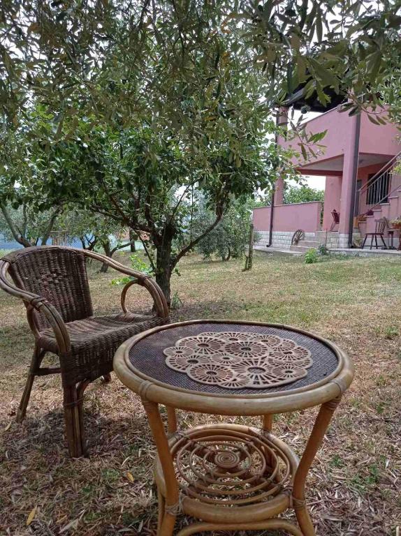Vonkajšia záhrada v ubytovaní Guesthouse Martina