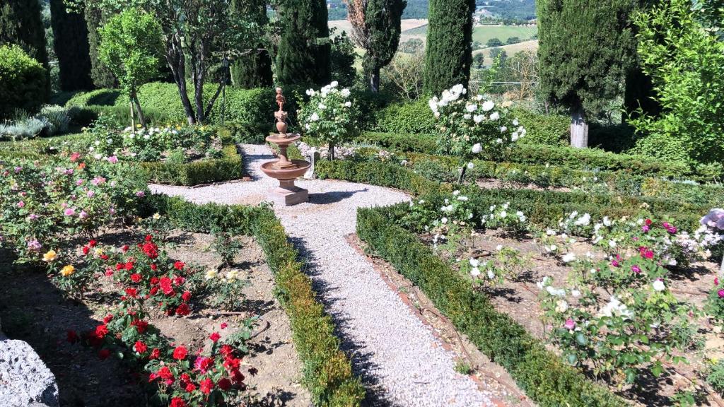 Zahrada ubytování Agriturismo Macciangrosso Casale Piccolomini